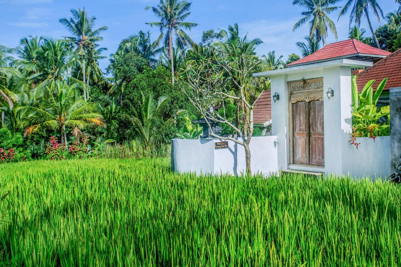 Tamyang Ubud Villas Ngoại thất bức ảnh
